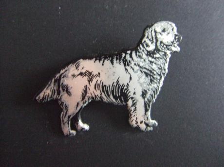 Rashond Labrador (2)